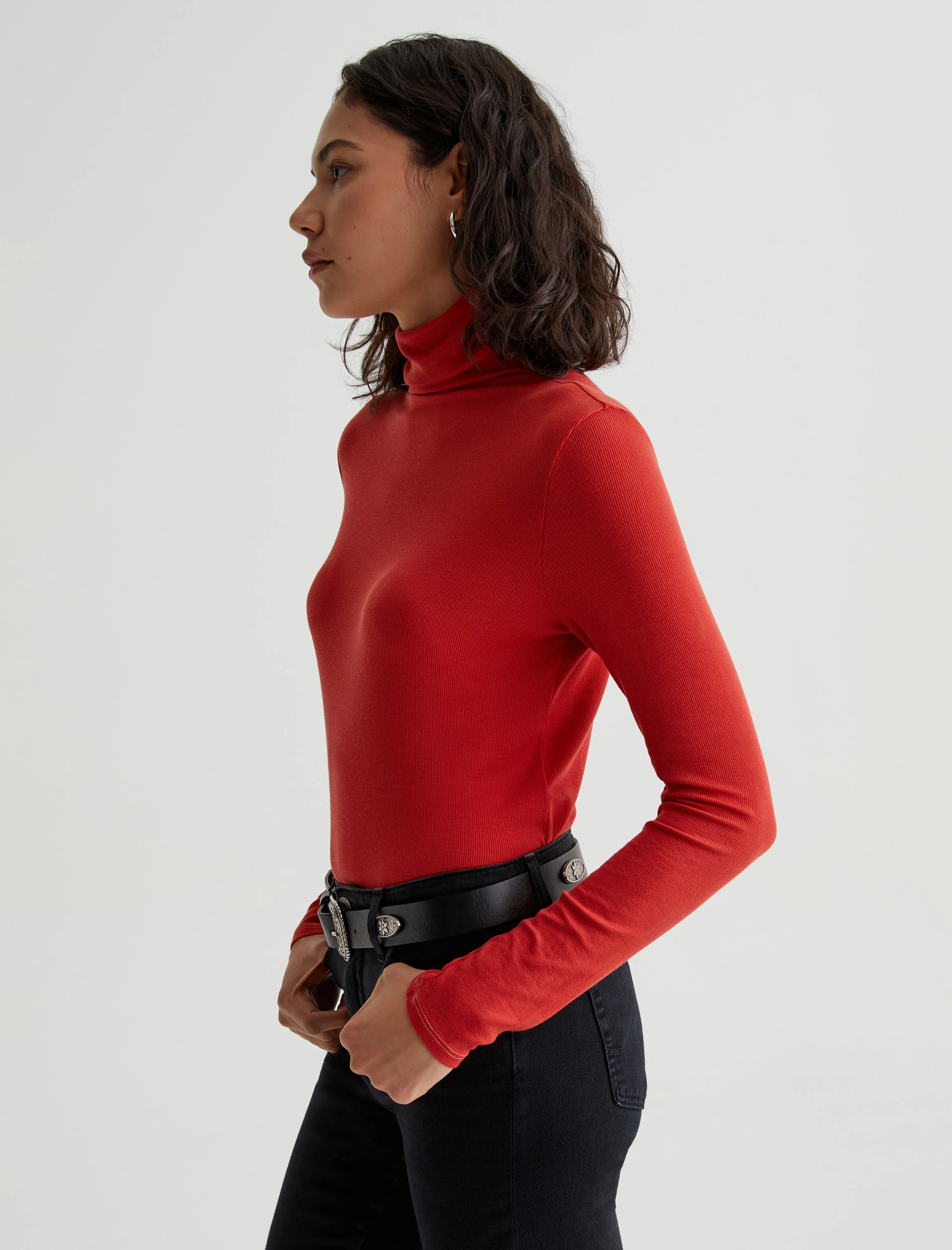 Chels Turtleneck sold by Adriano Goldschmied product image thumbnail 2