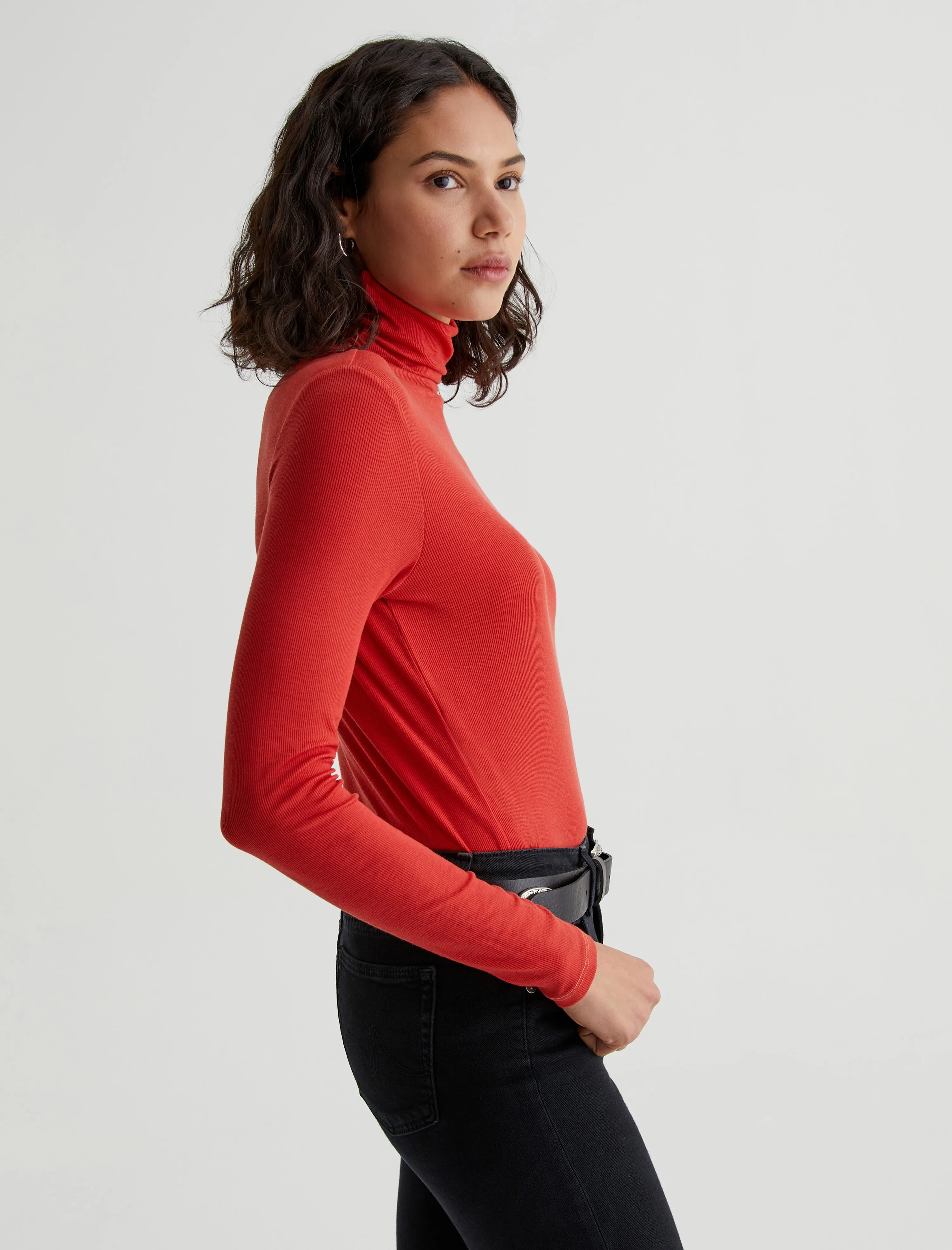Chels Turtleneck sold by Adriano Goldschmied product image thumbnail 3