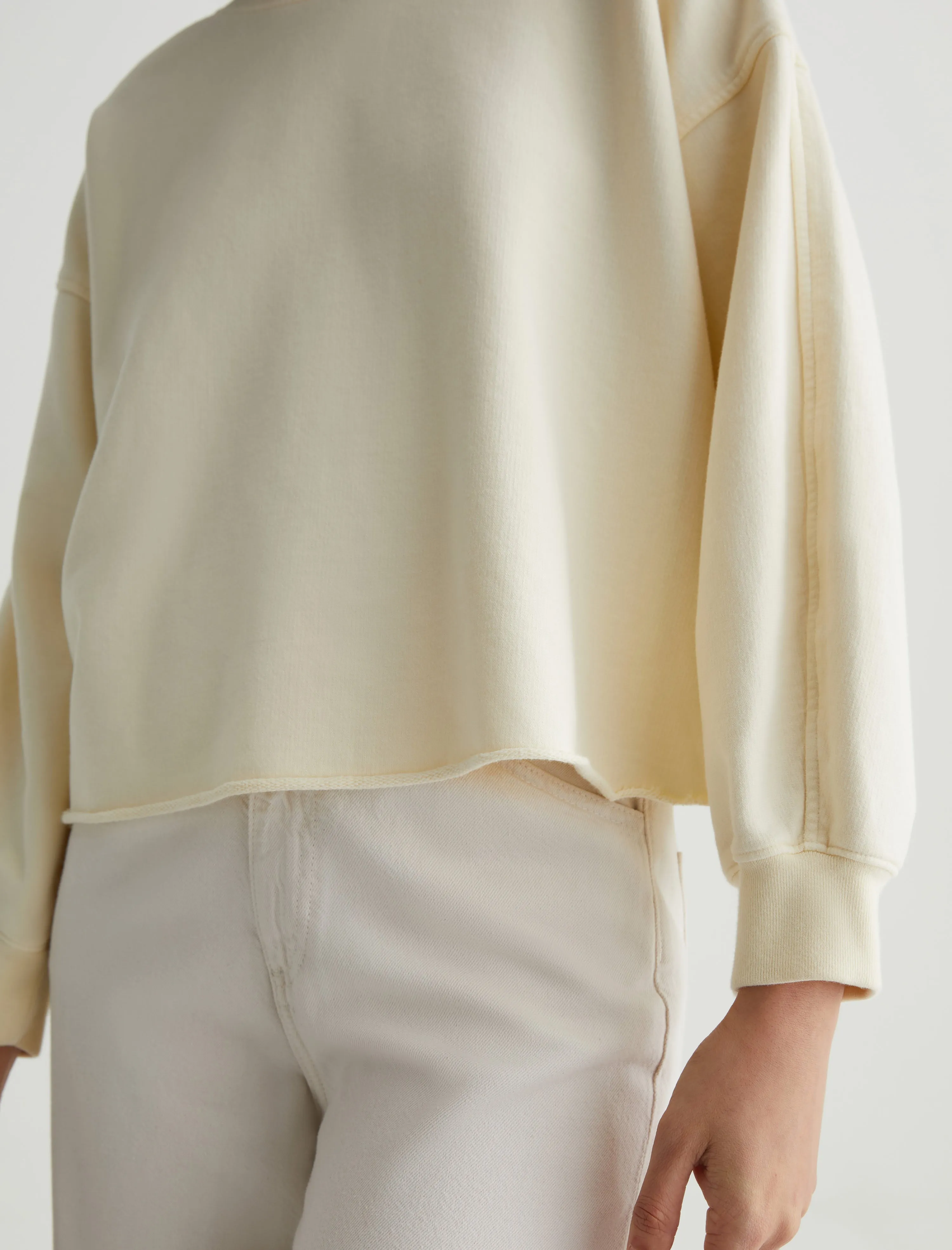 Willow Sweatshirt sold by Adriano Goldschmied product image thumbnail 3