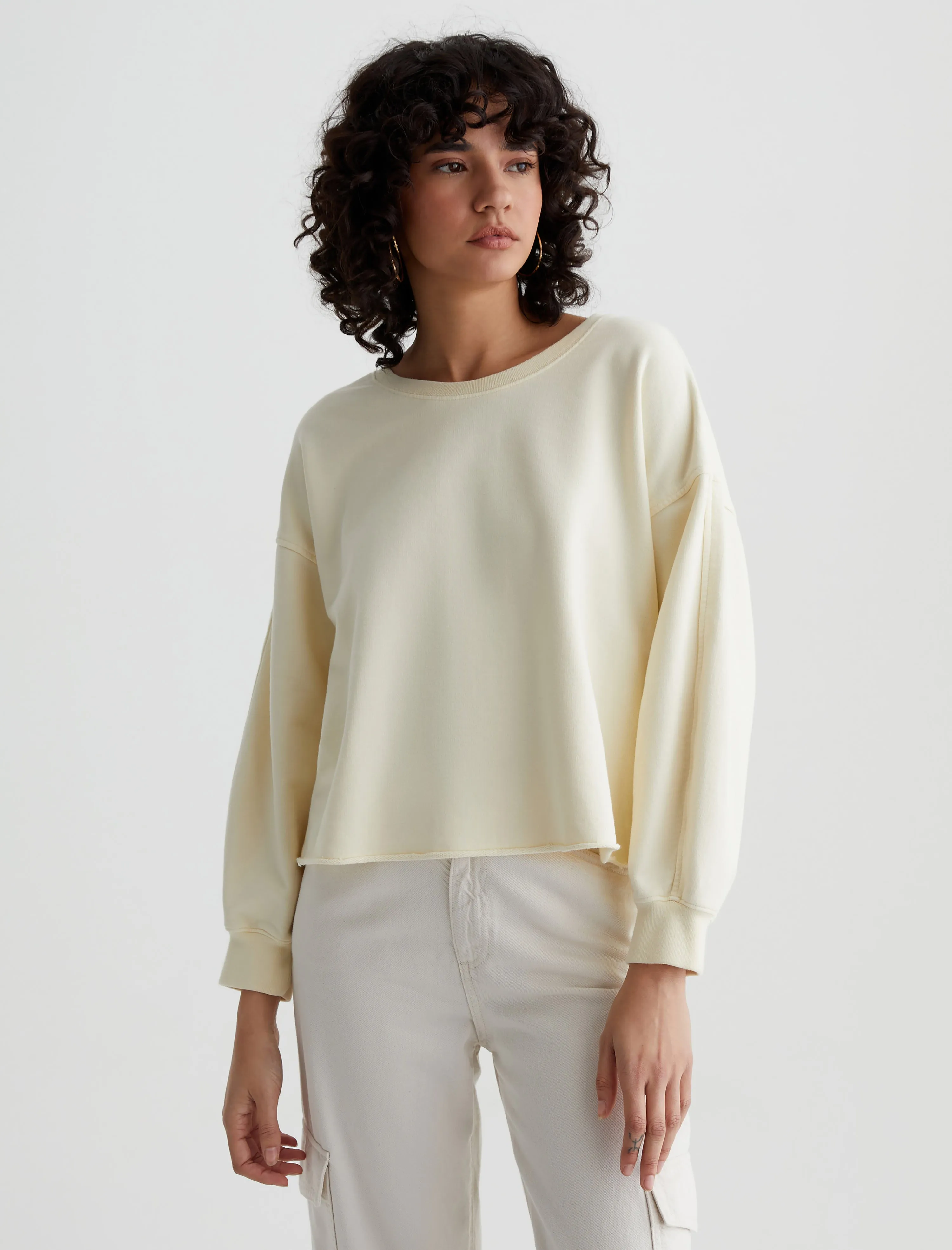 Willow Sweatshirt sold by Adriano Goldschmied