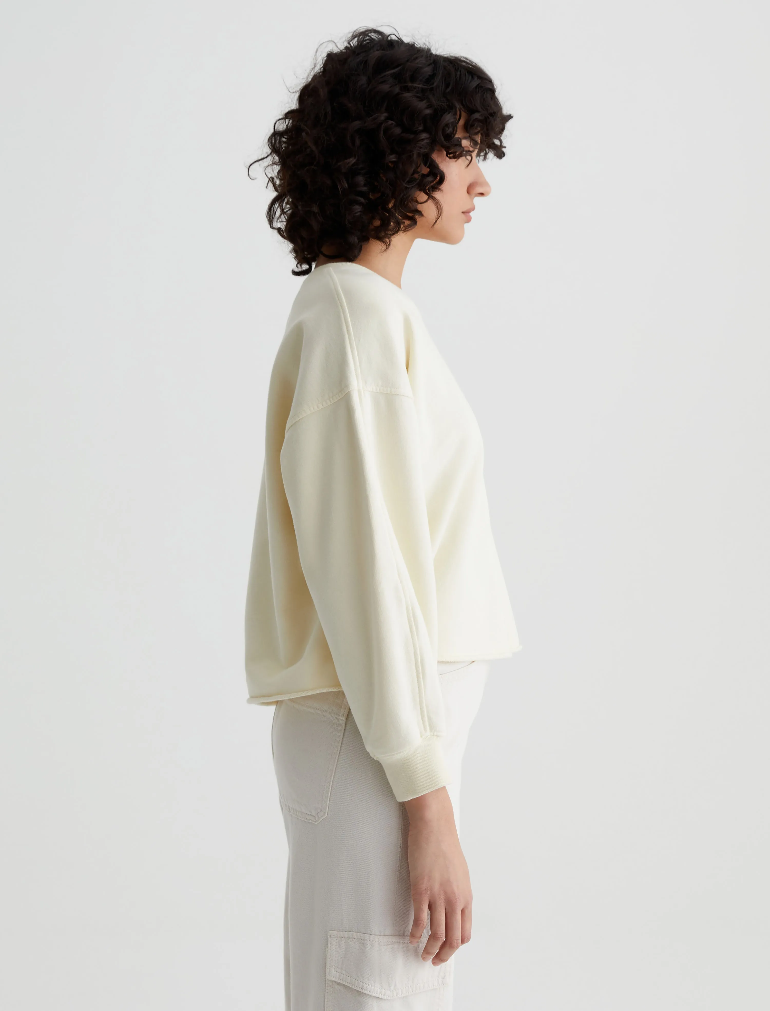 Willow Sweatshirt sold by Adriano Goldschmied product image thumbnail 5