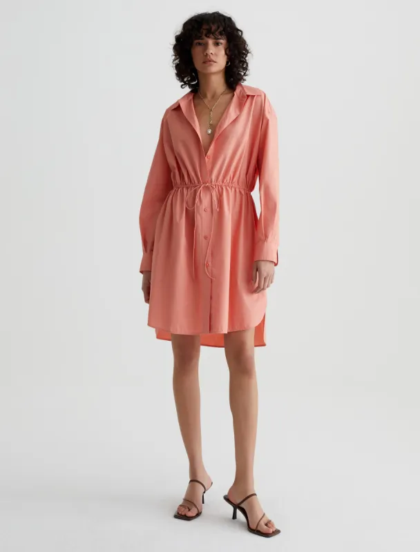 Jolie Shirt Dress made by AG Jeans