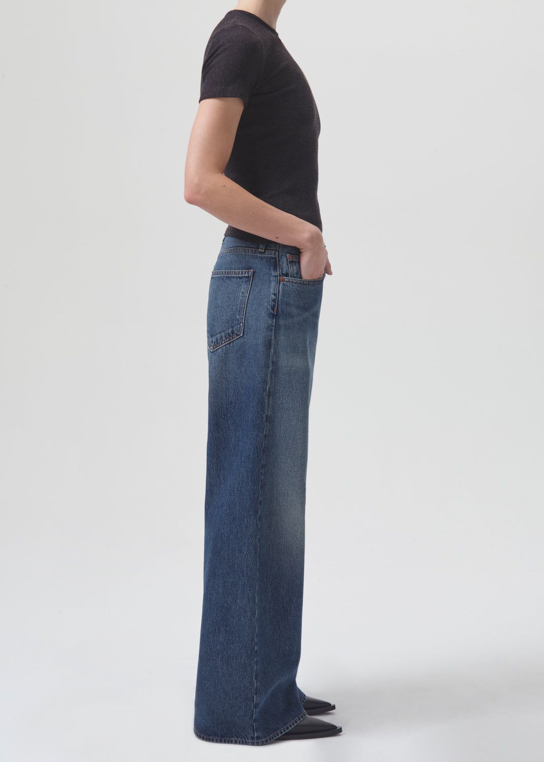 Harri Shrunken Tee in Pasha sold by Agolde product image thumbnail 3