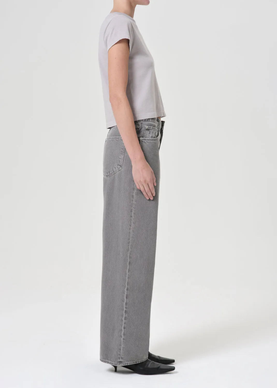 Low Slung Baggy 30.5" in Dollar sold by Agolde product image thumbnail 4