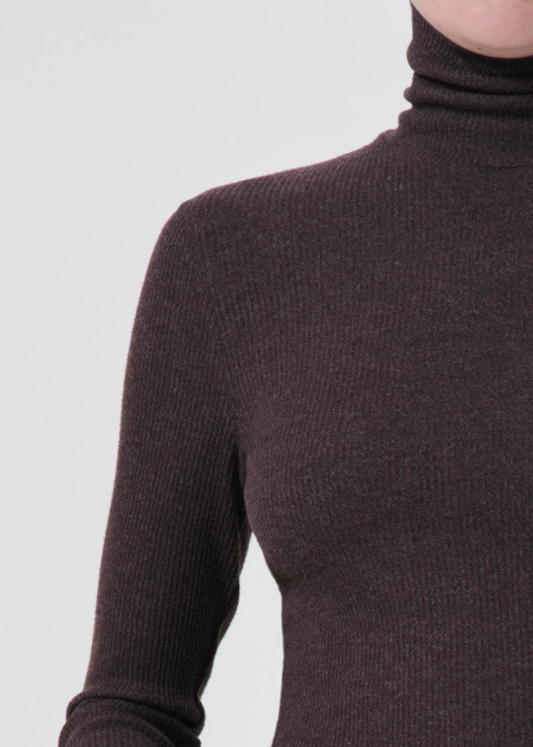 Pascale Turtleneck in Fox sold by Agolde product image thumbnail 4