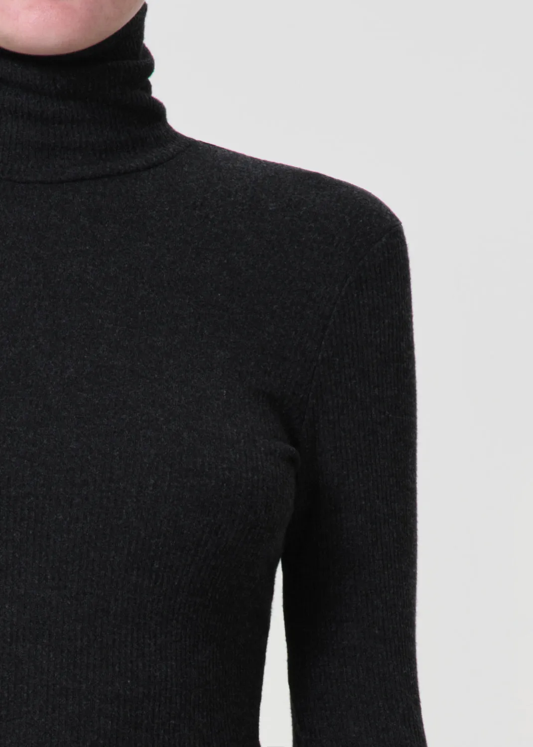 Pascale Turtleneck in Katniss sold by Agolde product image thumbnail 4