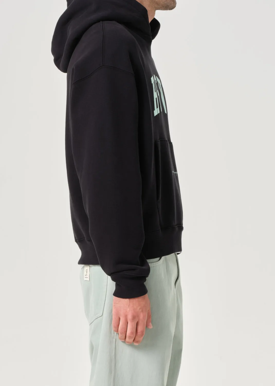 AGOLDE / RSVP Arch Logo Hoodie in Black / Mint sold by Agolde product image thumbnail 5