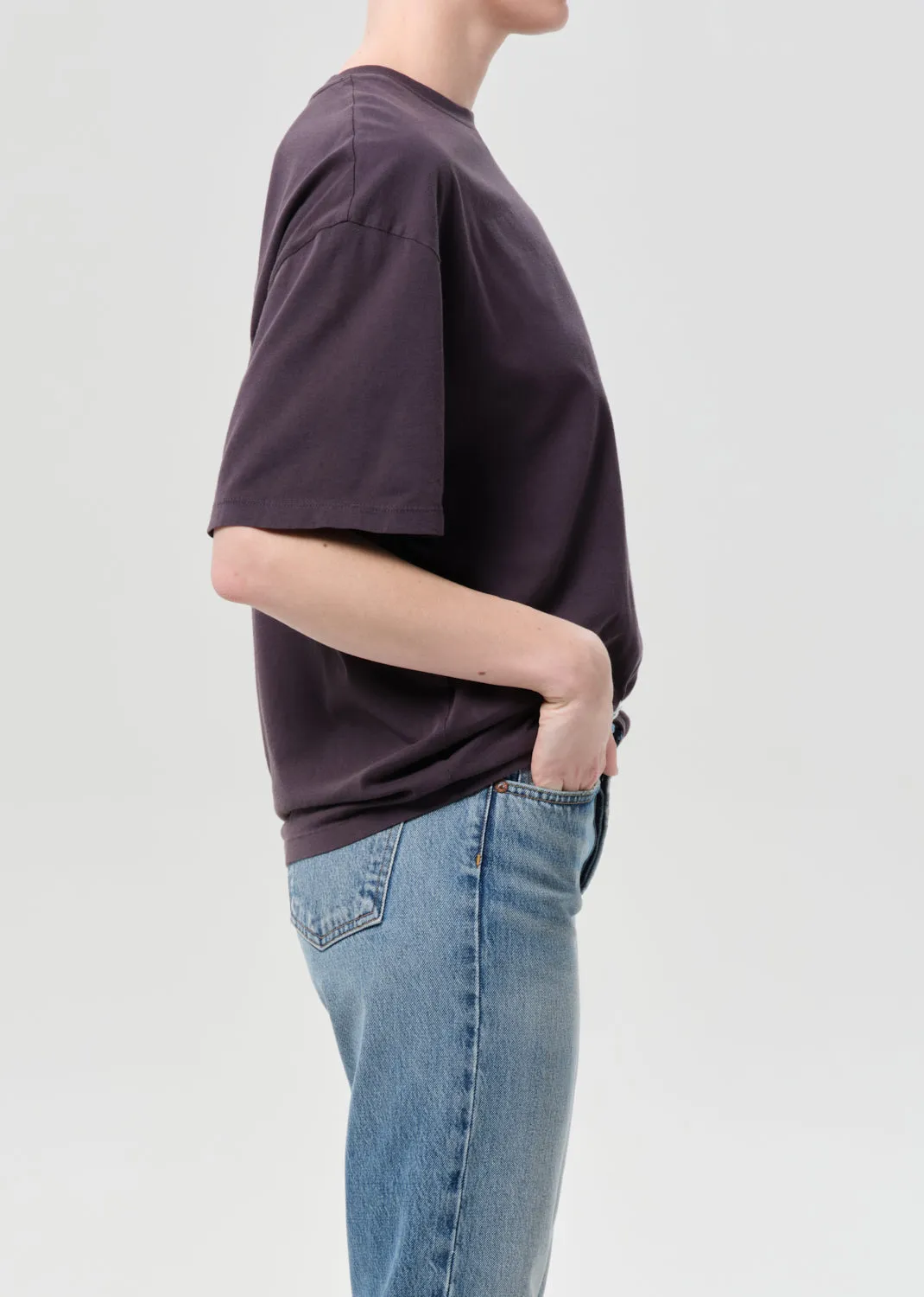 Roma T-Shirt in Shade sold by Agolde product image thumbnail 3
