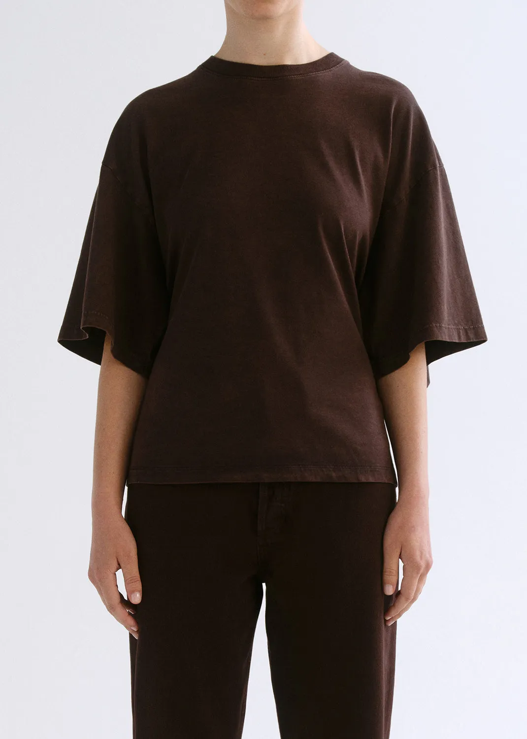 Theo T-Shirt in Tone sold by Agolde
