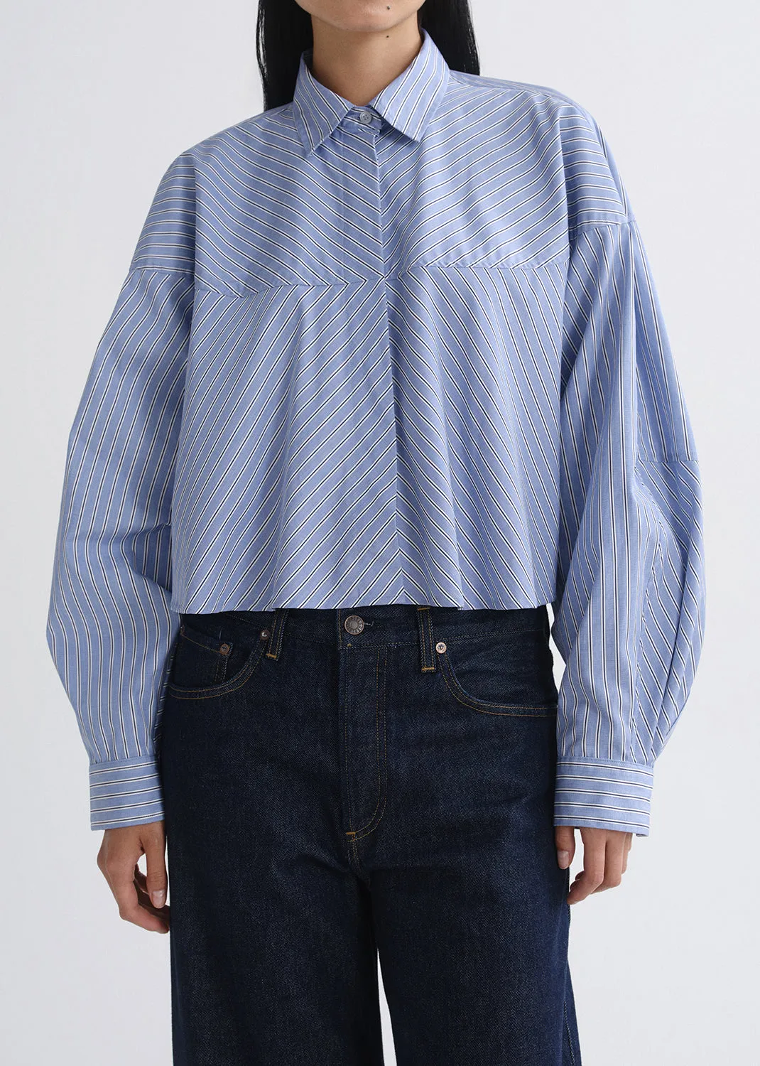 Agnes Shirt in Meyer Stripe Blue/White sold by Agolde product image thumbnail 4