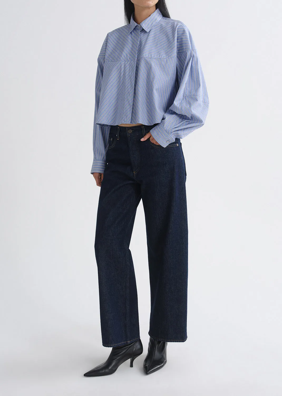 Agnes Shirt in Meyer Stripe Blue/White sold by Agolde product image thumbnail 5