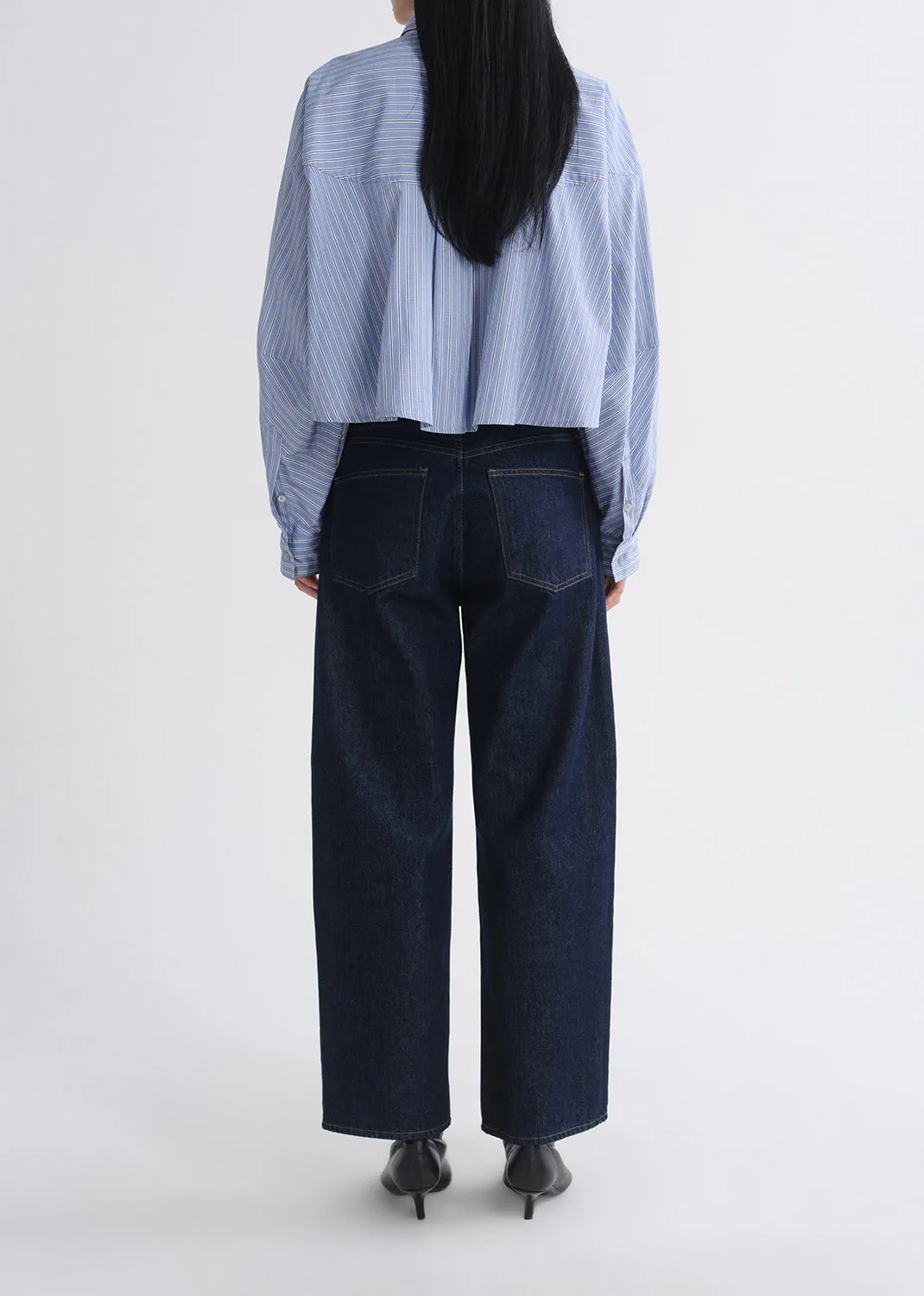 Agnes Shirt in Meyer Stripe Blue/White sold by Agolde product image thumbnail 2