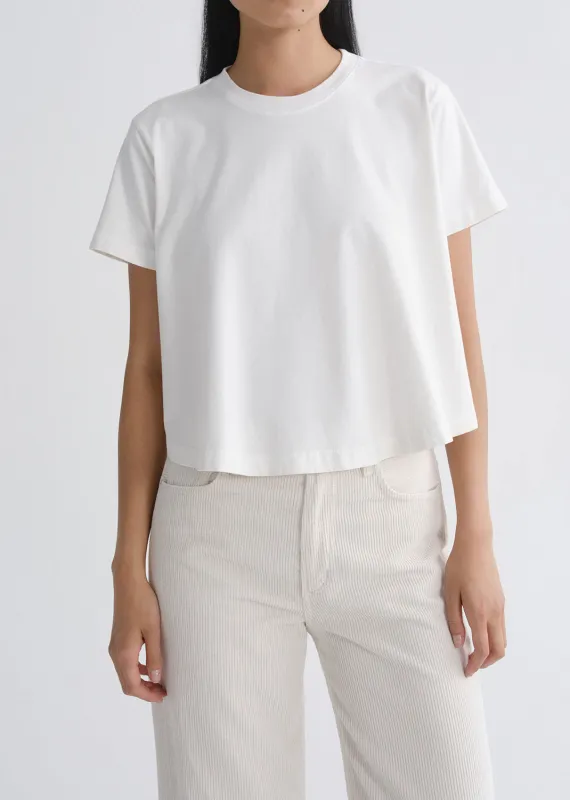 Marina T-Shirt in White Ash made by Agolde