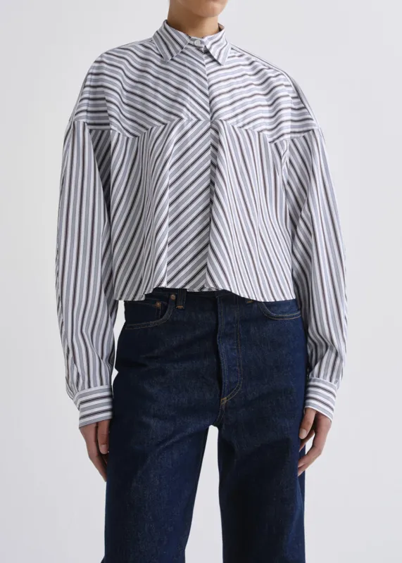 Agnes Shirt in Meyer Stripe Bracken/Blue made by Agolde