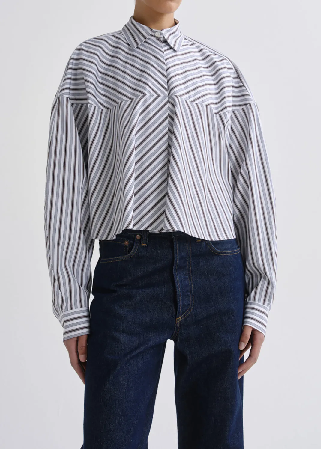 Agnes Shirt in Meyer Stripe Bracken/Blue sold by Agolde