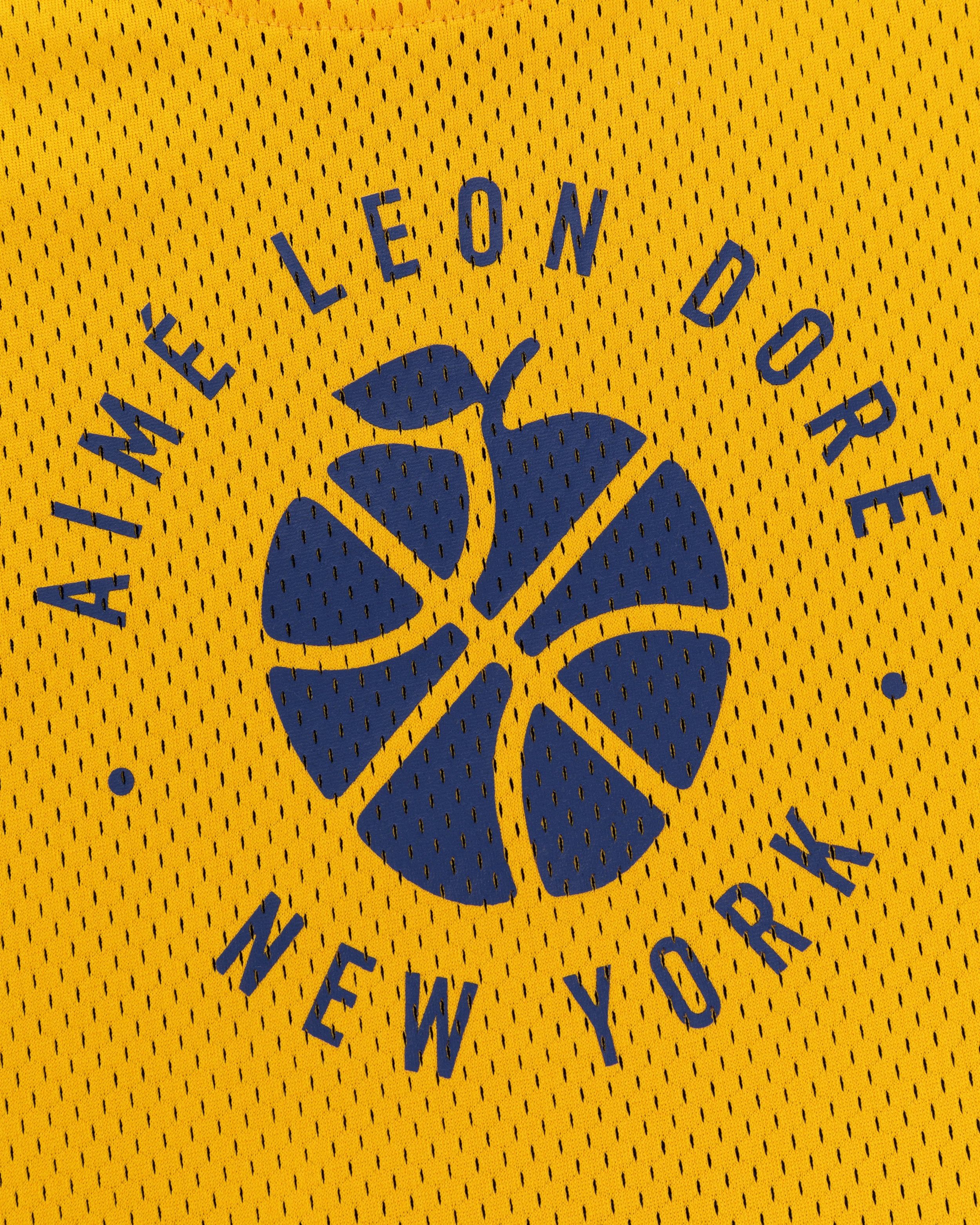 ALD / New Balance SONNY NY Reversible Jersey sold by Aime Leon Dore product image thumbnail 5