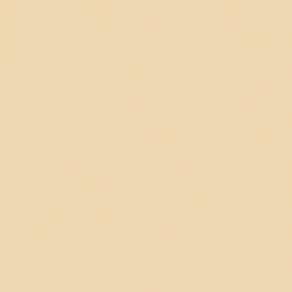 Wingfoot Track Jacket sold by Aime Leon Dore product image thumbnail 4