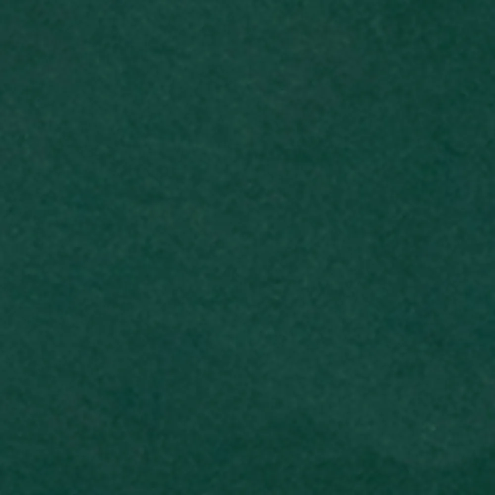 Logo Swim Short sold by Aime Leon Dore product image thumbnail 5