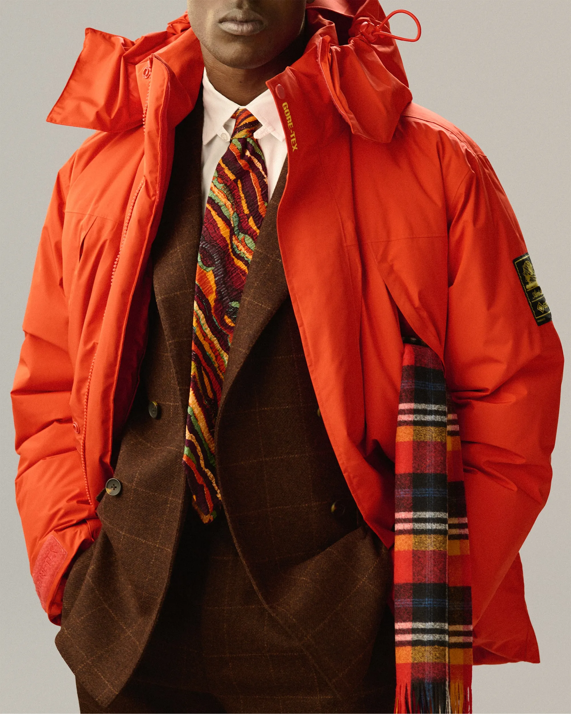 GORE-TEX Down Filled Parka sold by Aime Leon Dore product image thumbnail 4