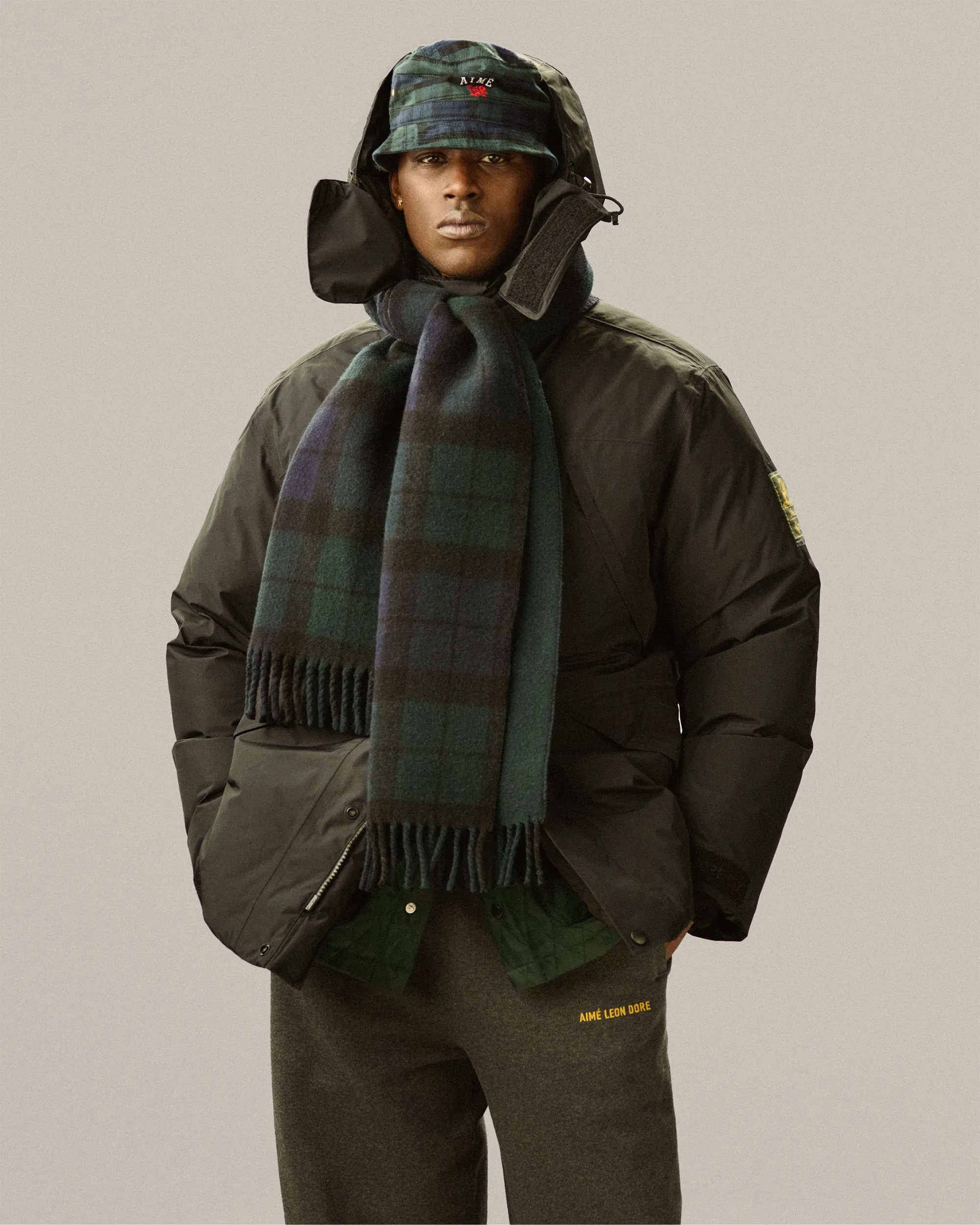 GORE-TEX Down Filled Parka sold by Aime Leon Dore product image thumbnail 3