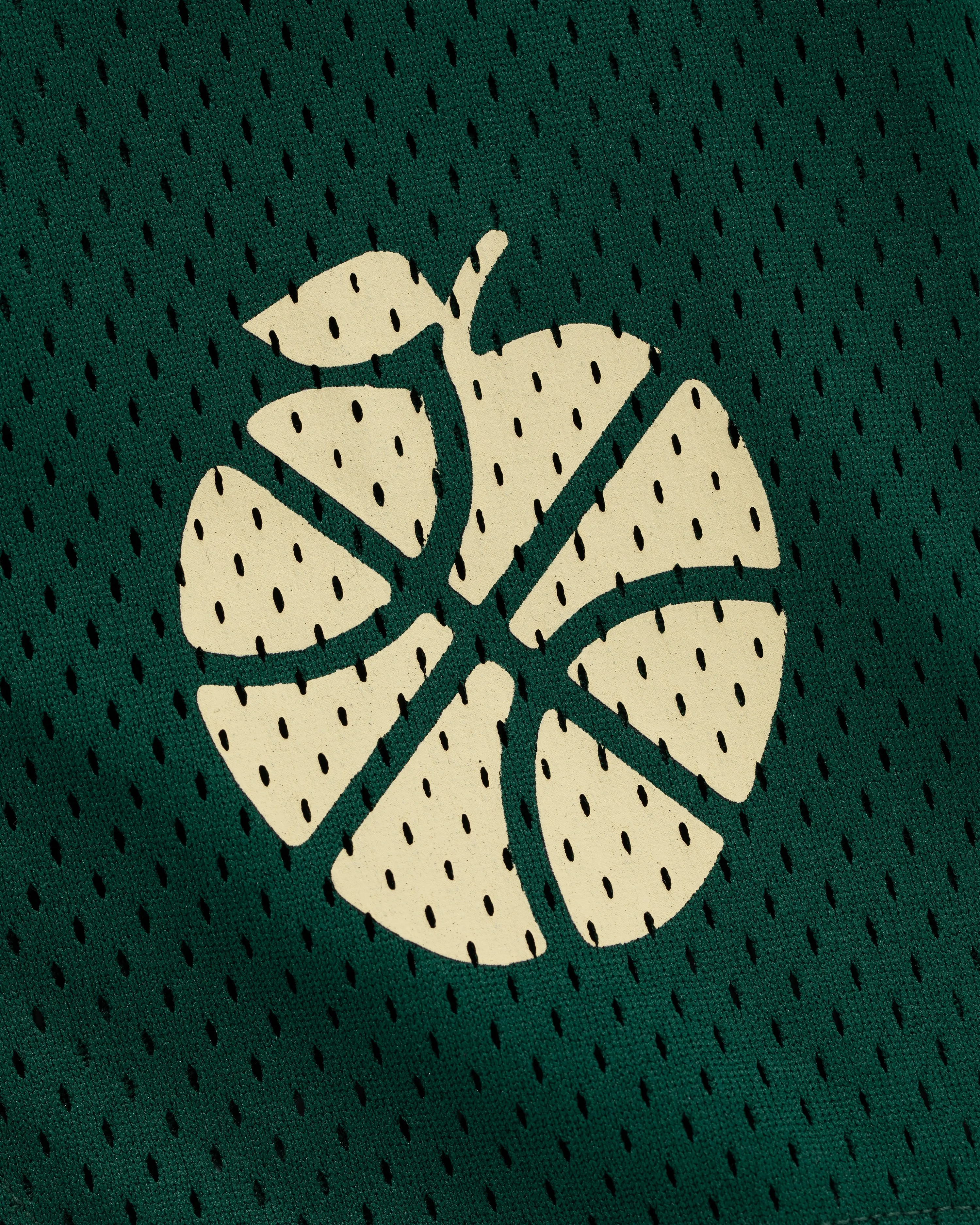 ALD / New Balance SONNY NY Gym Short sold by Aime Leon Dore product image thumbnail 4