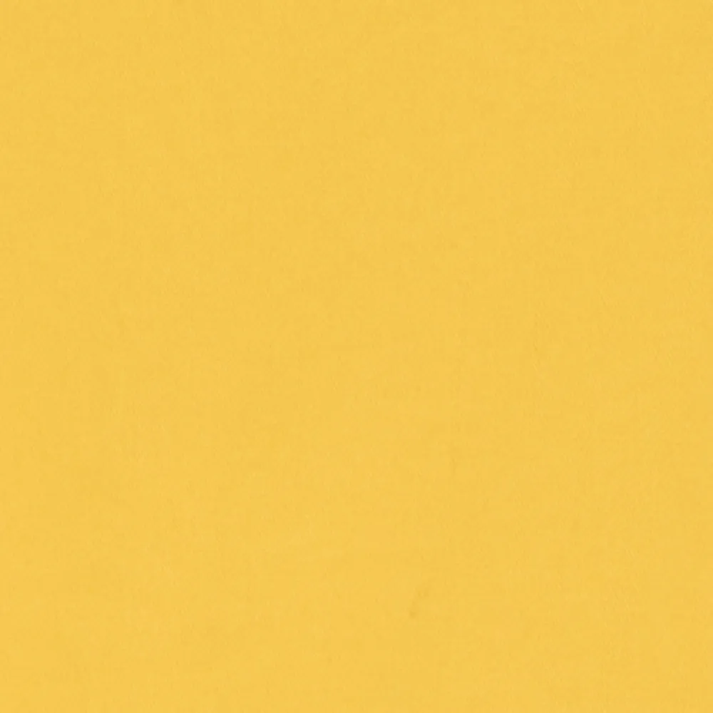 Leon Overshirt sold by Aime Leon Dore product image thumbnail 4