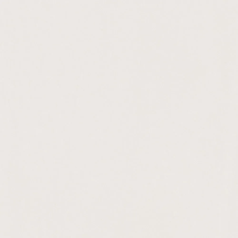 Leon Overshirt sold by Aime Leon Dore product image thumbnail 3