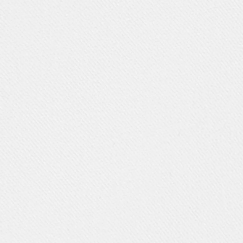 Double Pleated Short sold by Aime Leon Dore product image thumbnail 4