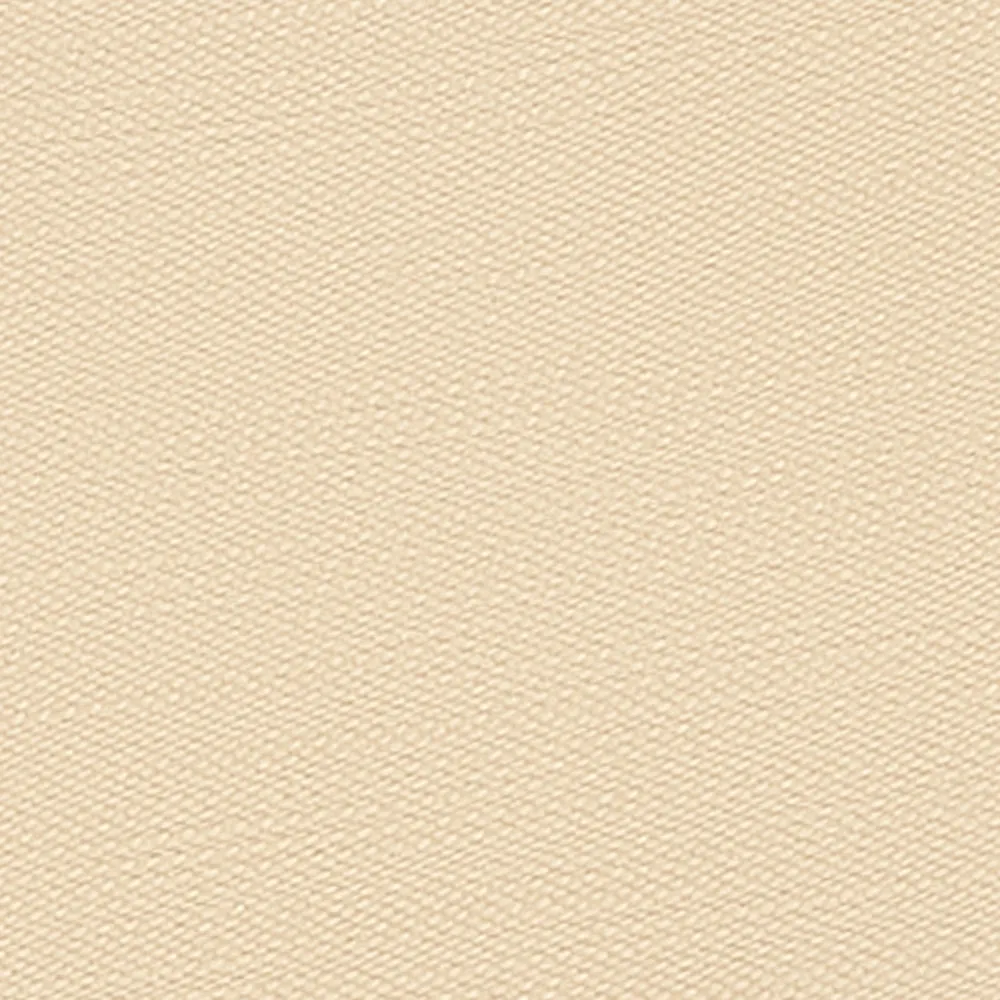 Double Pleated Short sold by Aime Leon Dore product image thumbnail 5