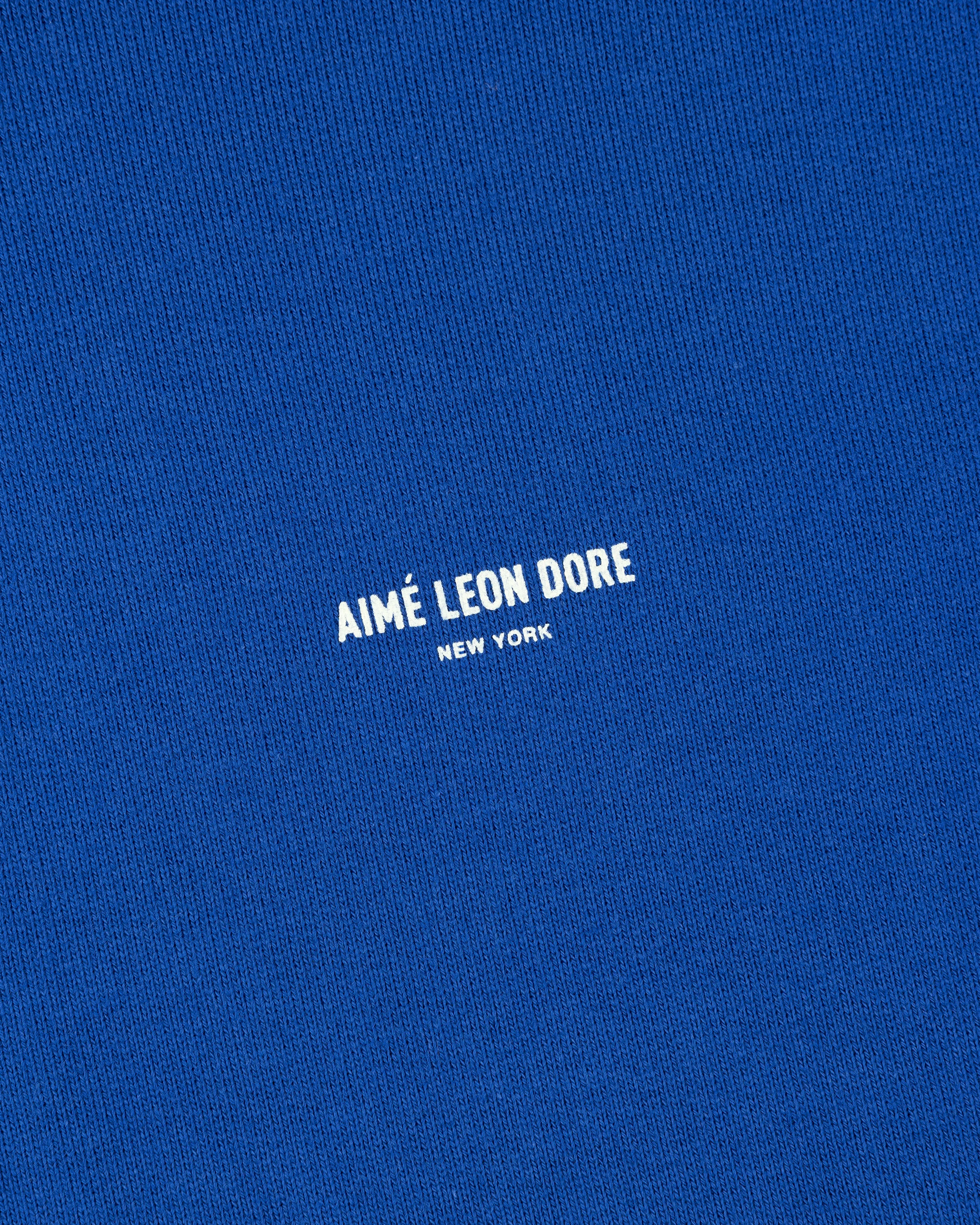 Micro Logo Hoodie sold by Aime Leon Dore product image thumbnail 3