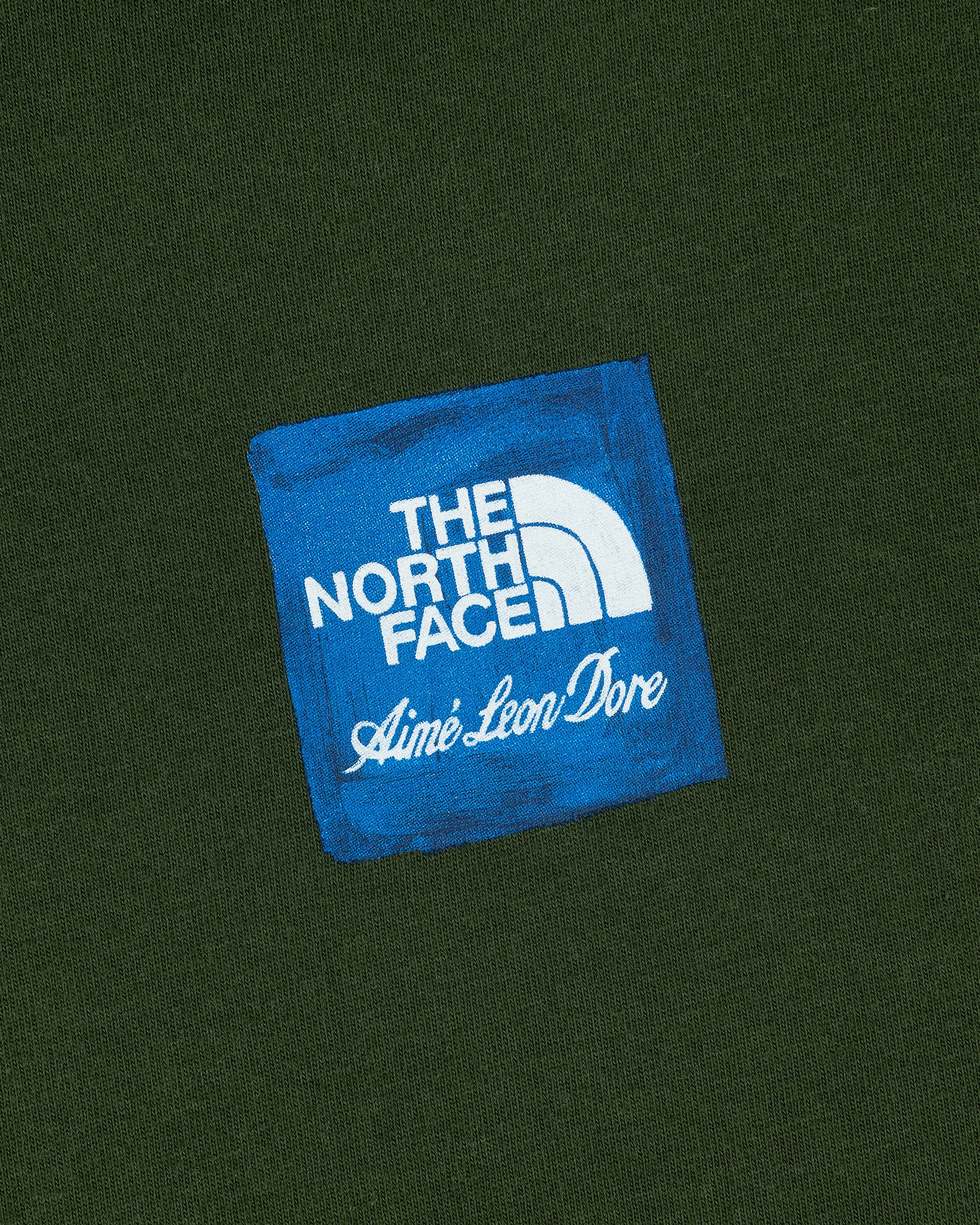 ALD / The North Face Logo Tee sold by Aime Leon Dore product image thumbnail 4