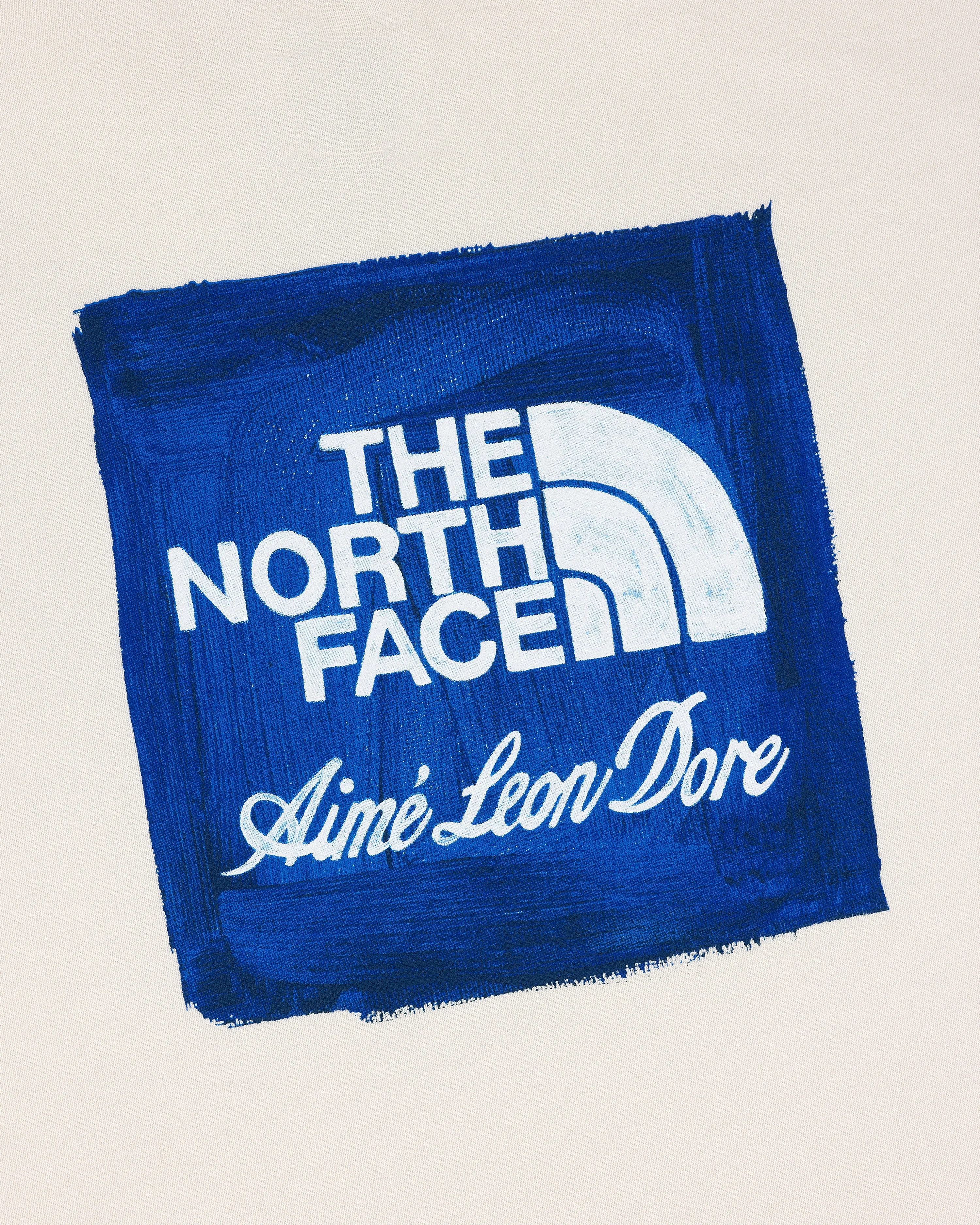 ALD / The North Face Logo Hoodie sold by Aime Leon Dore product image thumbnail 5