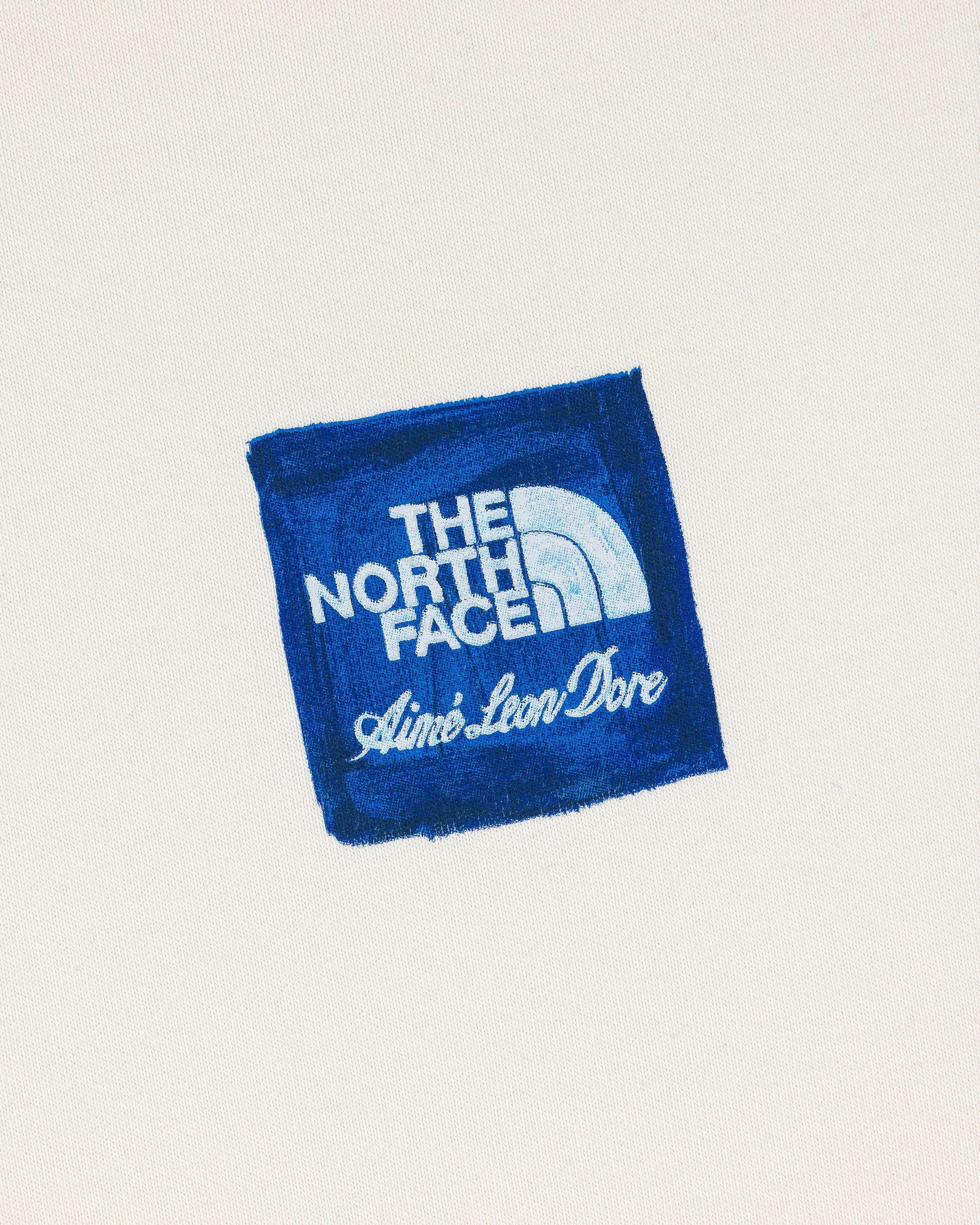 ALD / The North Face Logo Hoodie sold by Aime Leon Dore product image thumbnail 4