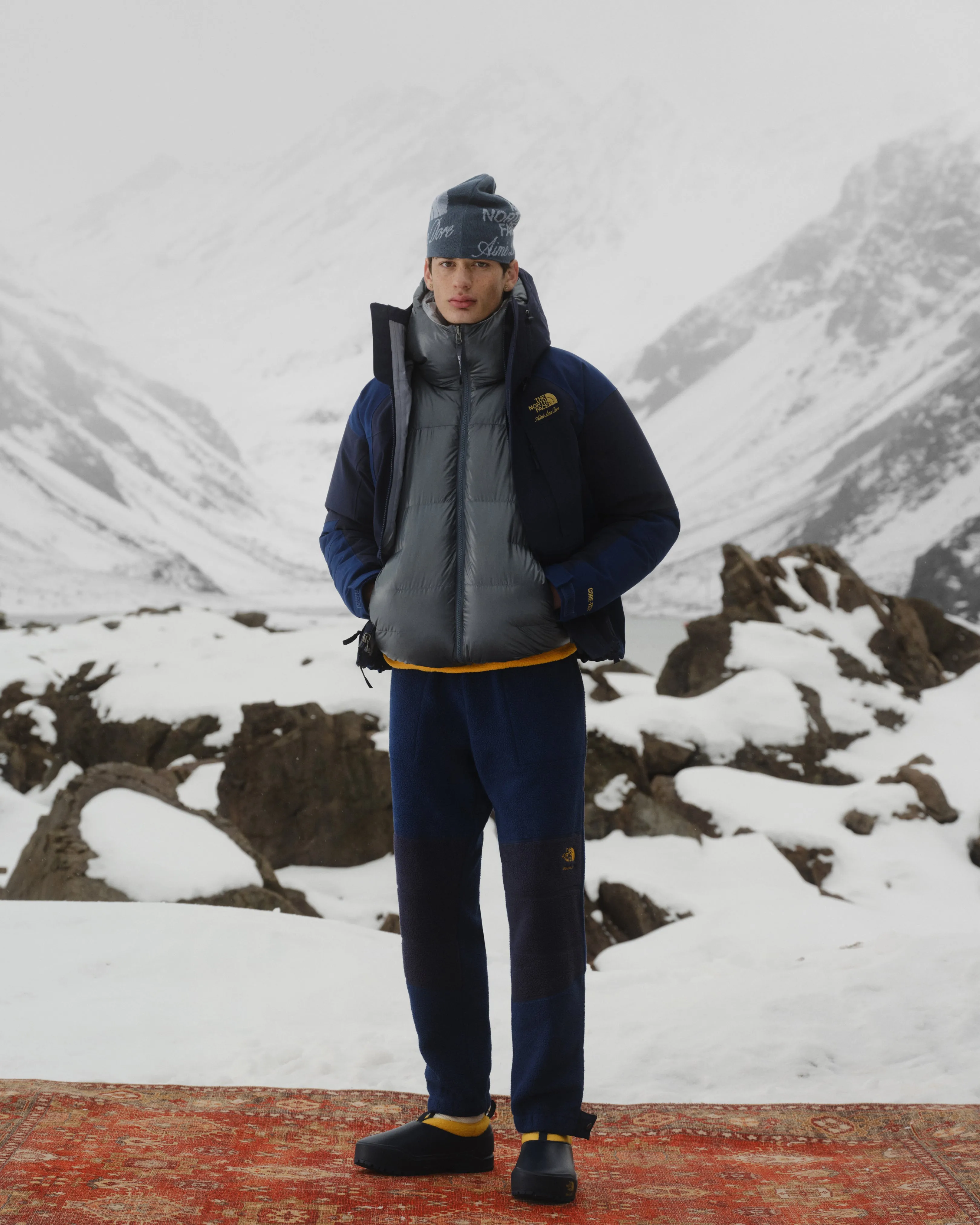 ALD / The North Face GORE-TEX 2000 Mountain Jacket sold by Aime Leon Dore product image thumbnail 3