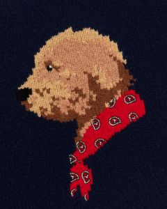 Collegiate Buddy Knit Sweater sold by Aime Leon Dore