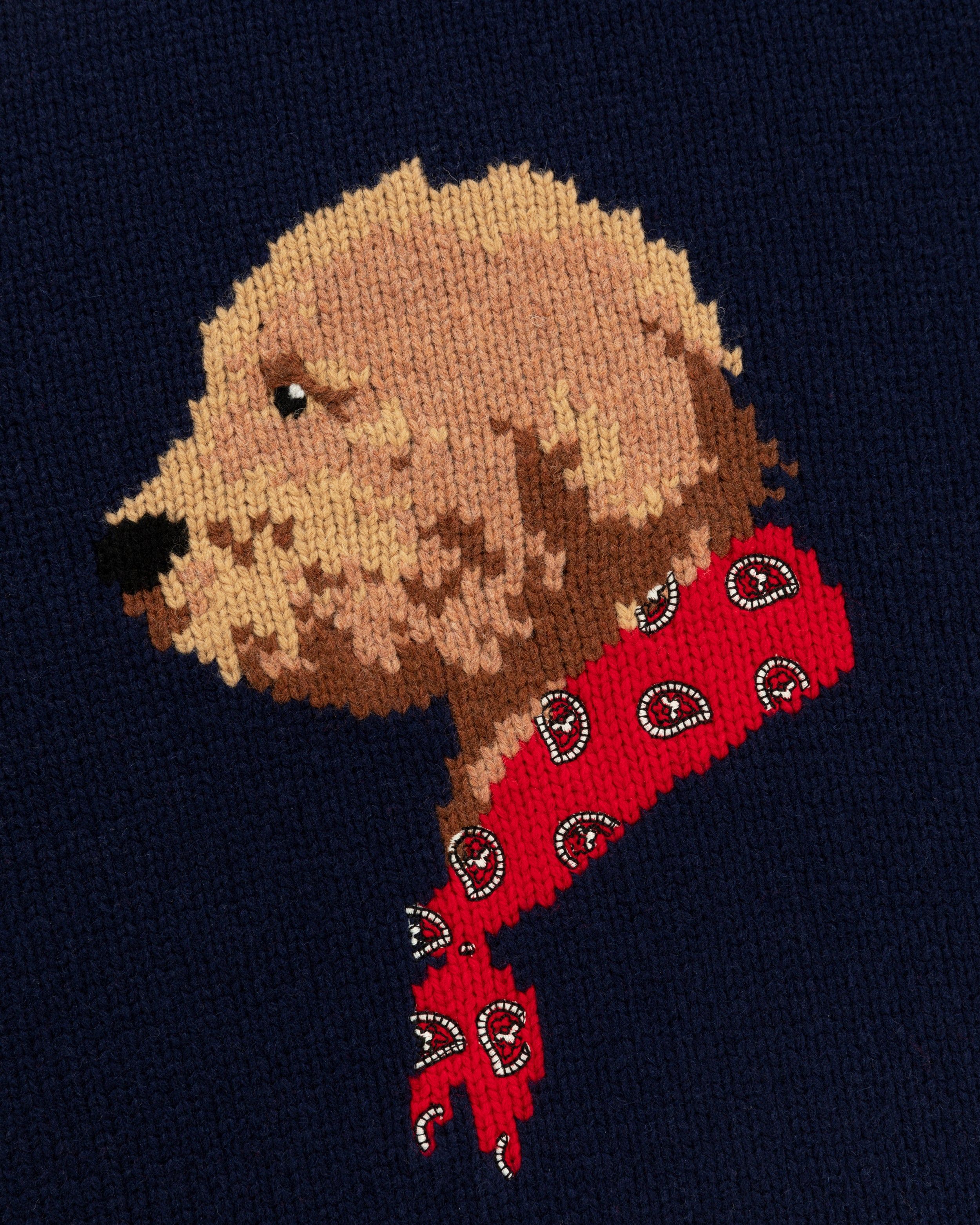 Collegiate Buddy Knit Sweater sold by Aime Leon Dore product image thumbnail 4