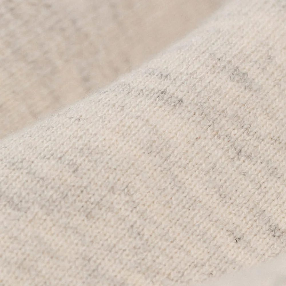 Tonal Logo Sweatshorts sold by Aime Leon Dore product image thumbnail 4