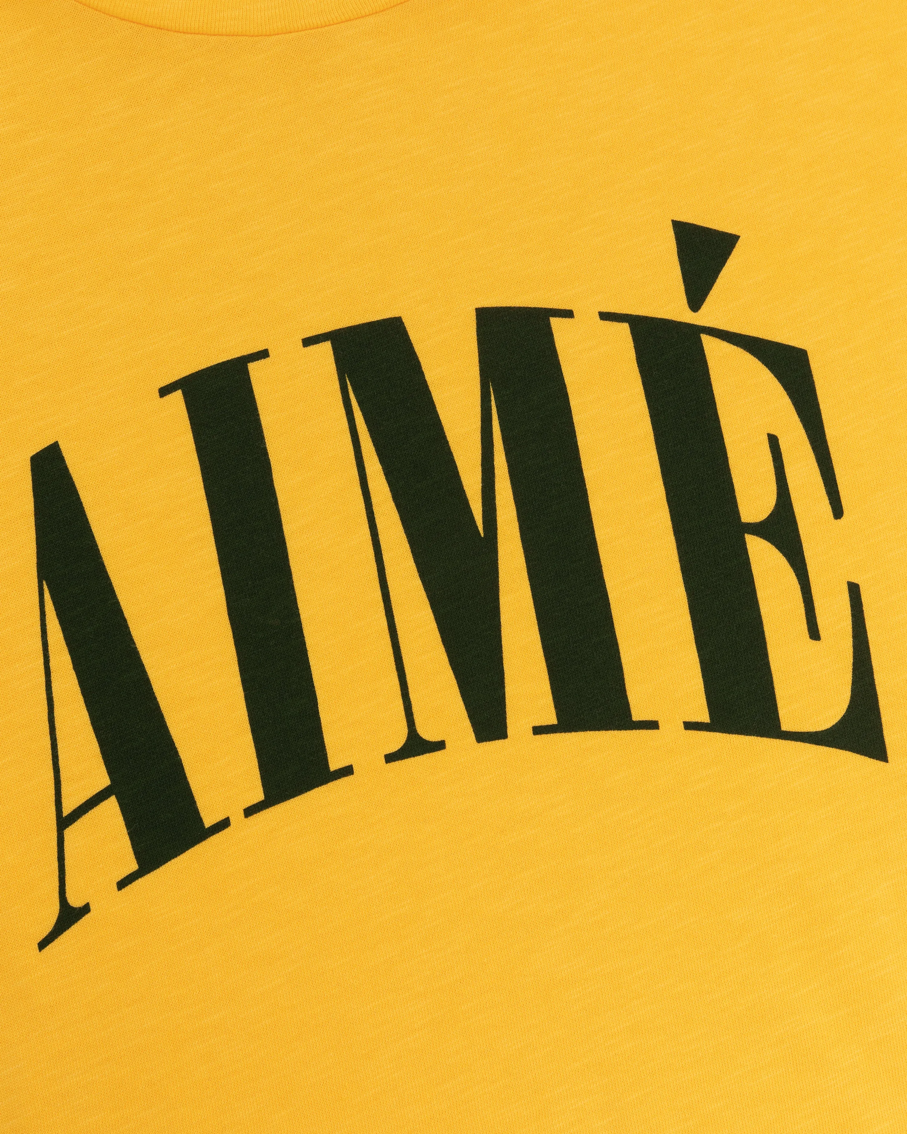 Aimé Slub Tee sold by Aime Leon Dore product image thumbnail 4