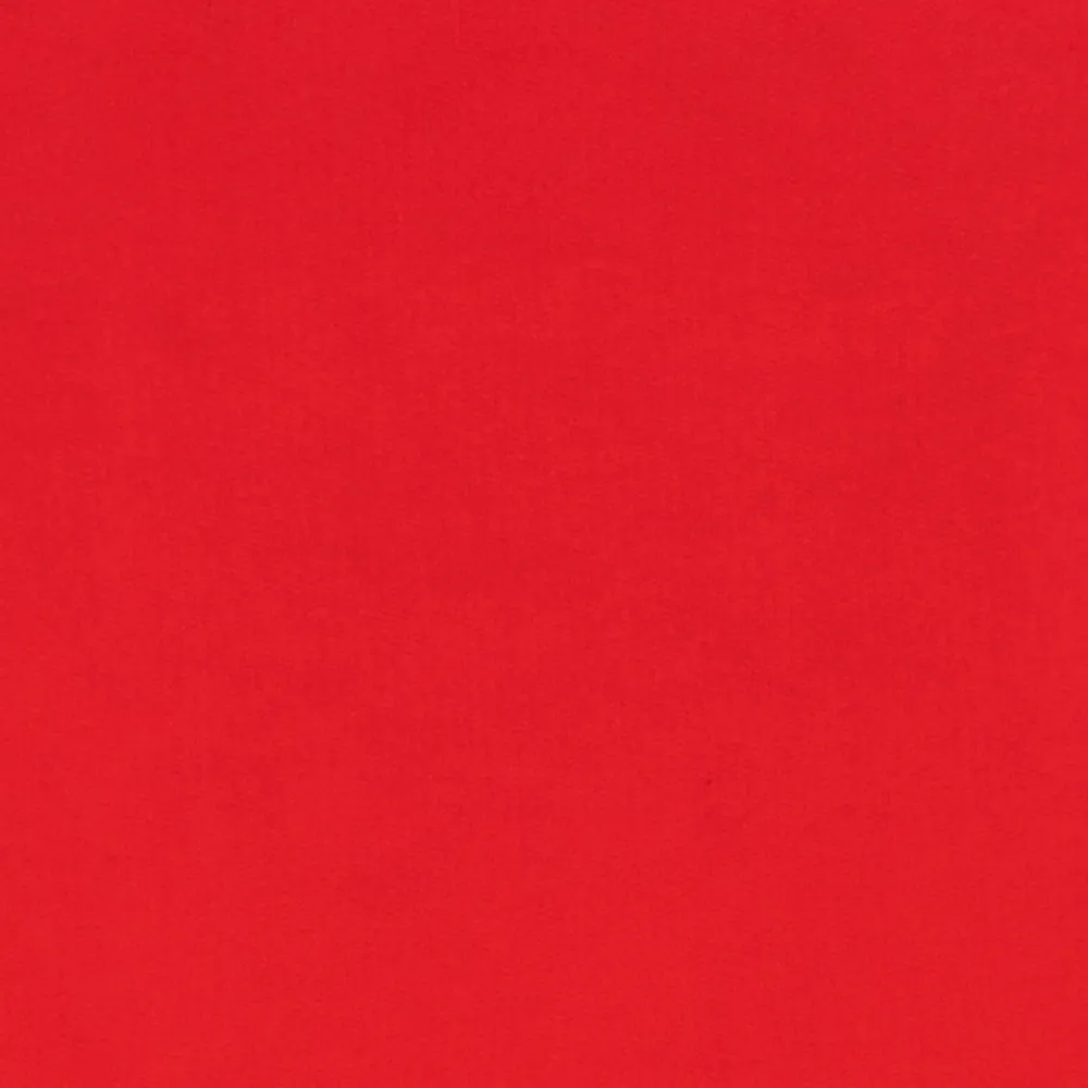 Logo Swim Short sold by Aime Leon Dore product image thumbnail 5