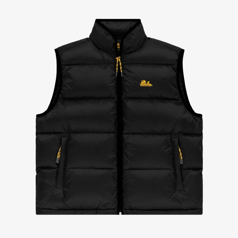 aime leon dore down puffer vest