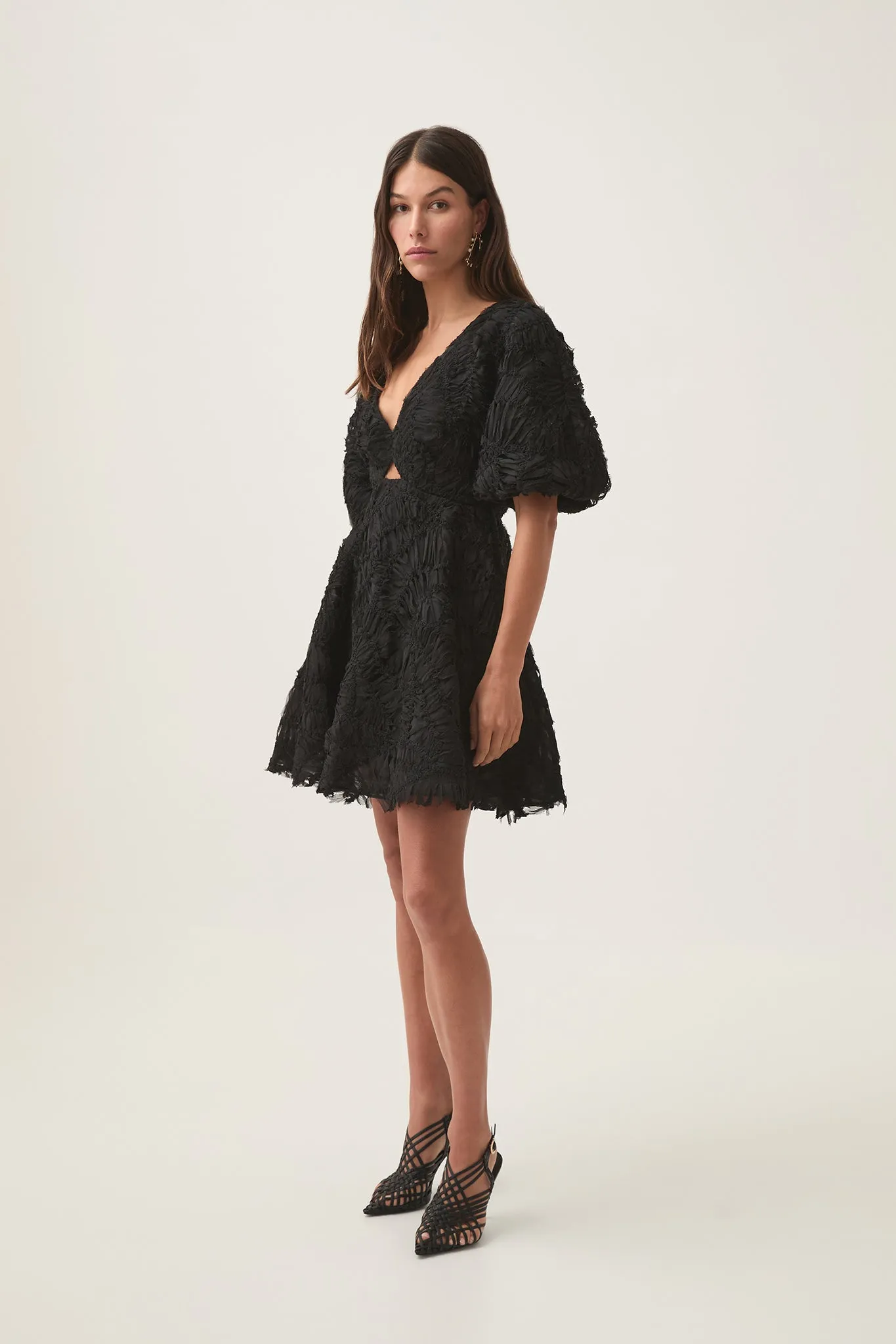 Florential Mini Swing Dress sold by Aje product image thumbnail 3