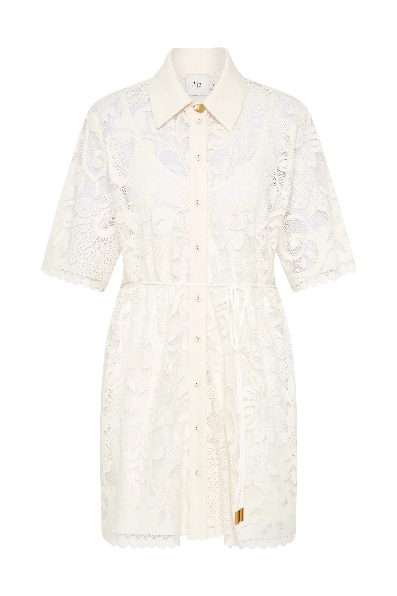 Muses Lace Mini Dress sold by Aje product image thumbnail 2