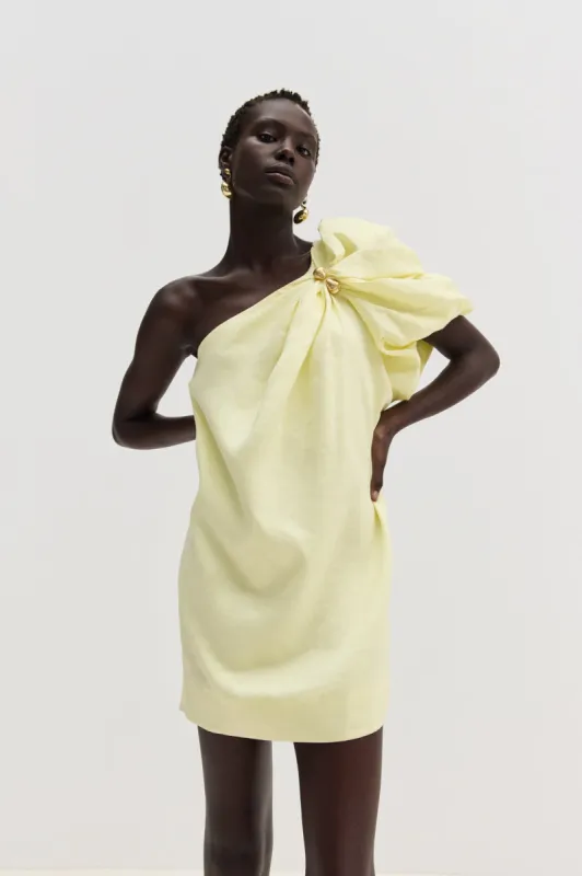 Cira Mini Dress sold by Aje