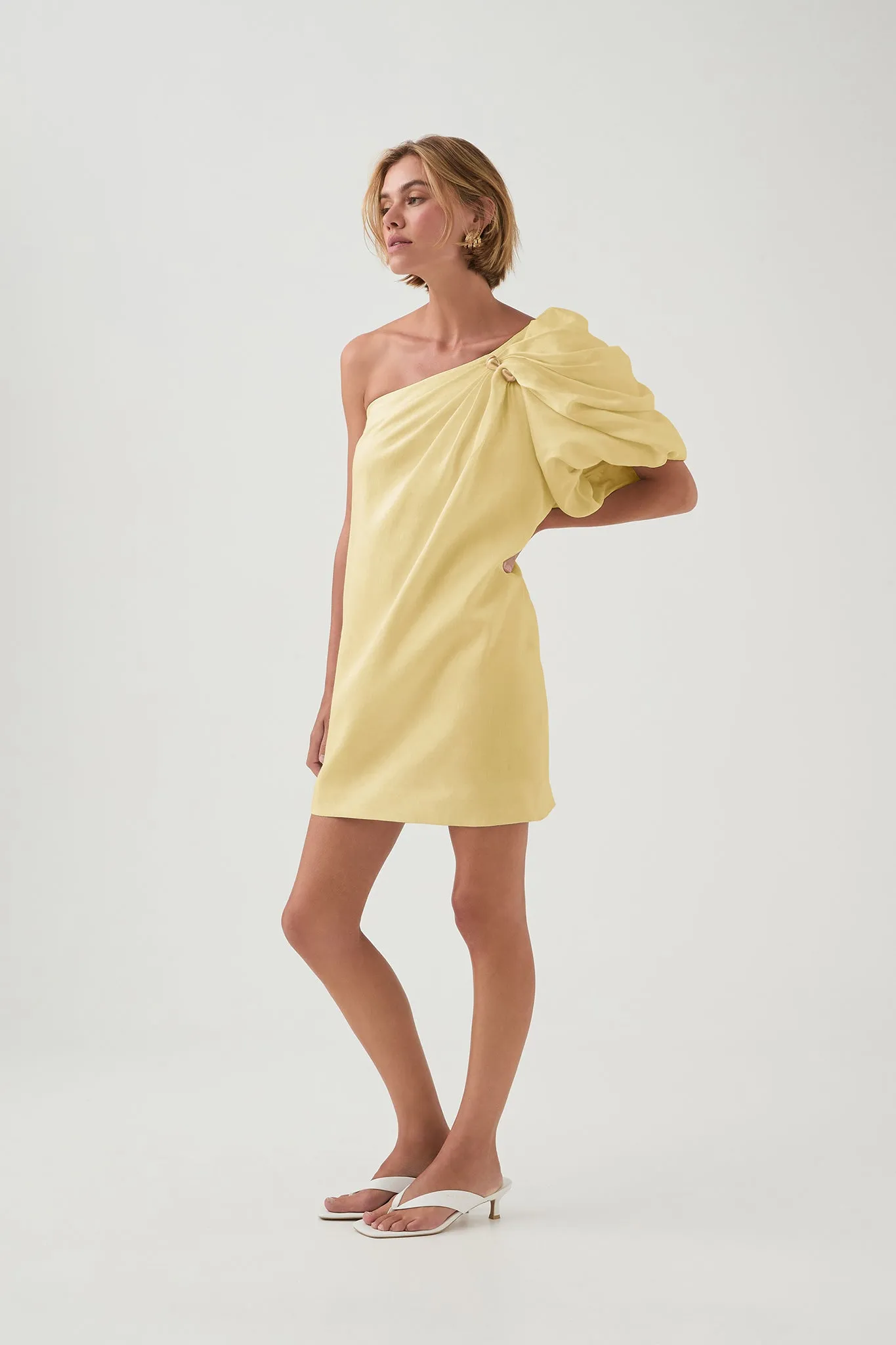 Cira Mini Dress sold by Aje product image thumbnail 5