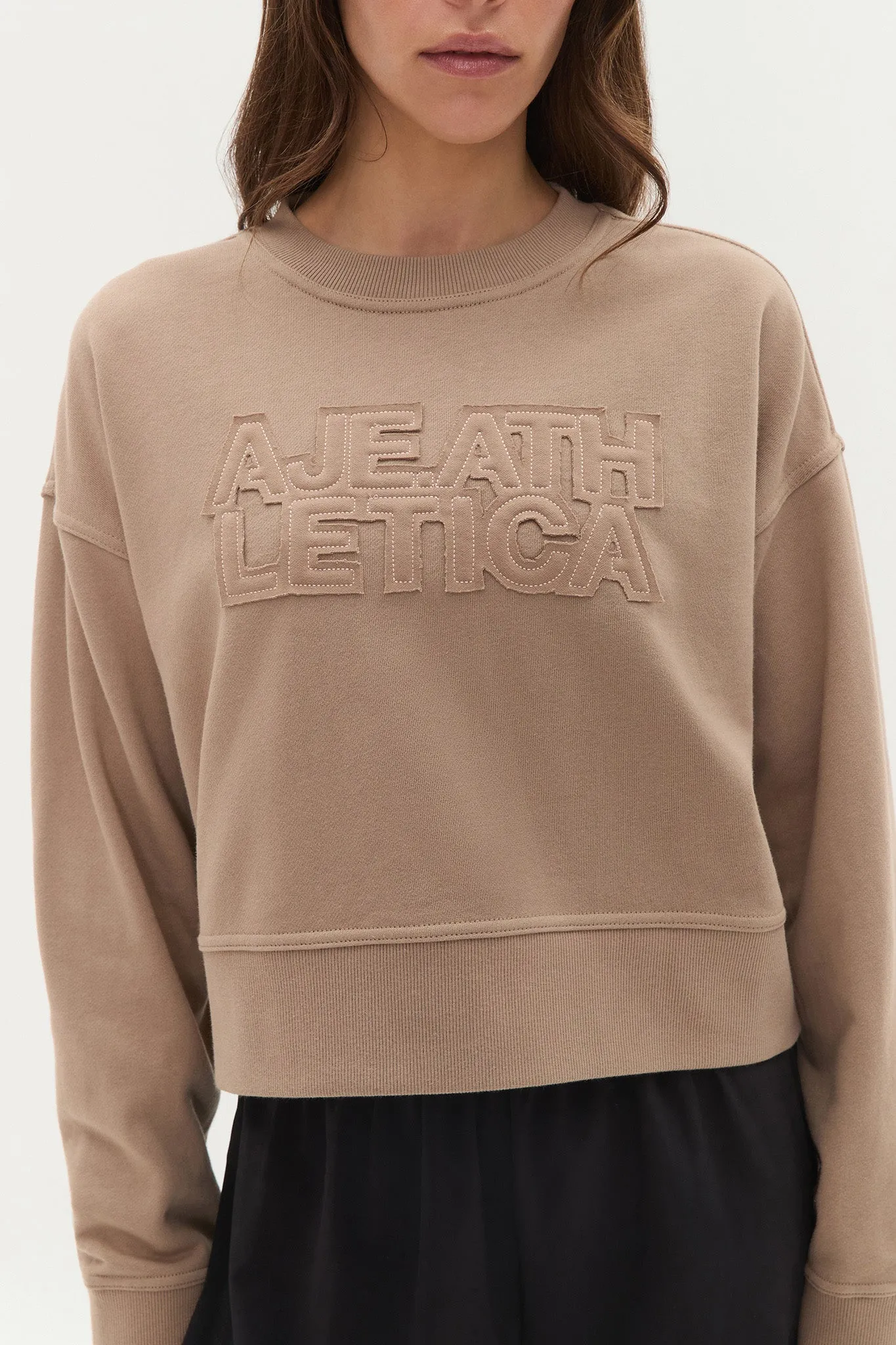 Logo Applique Crew Jumper 401 sold by Aje product image thumbnail 4