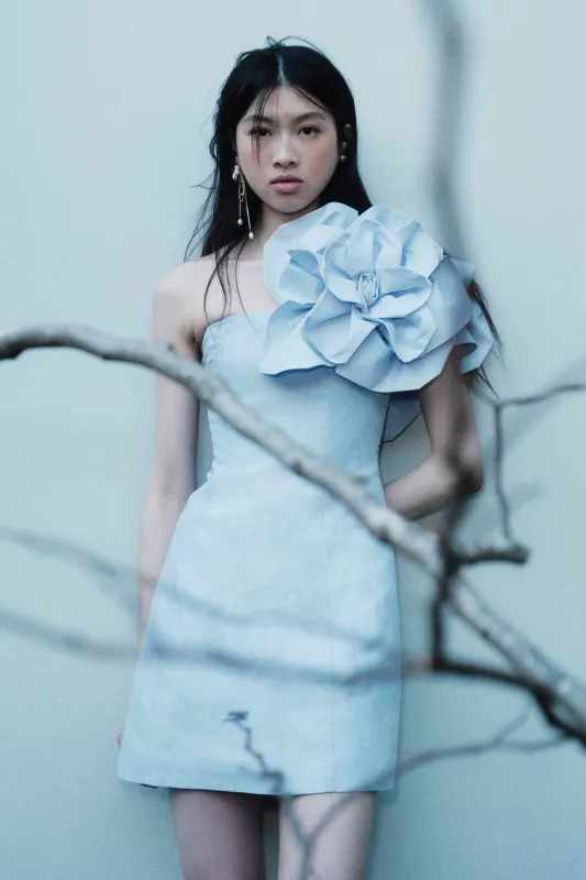 Florence Mini Dress sold by Aje