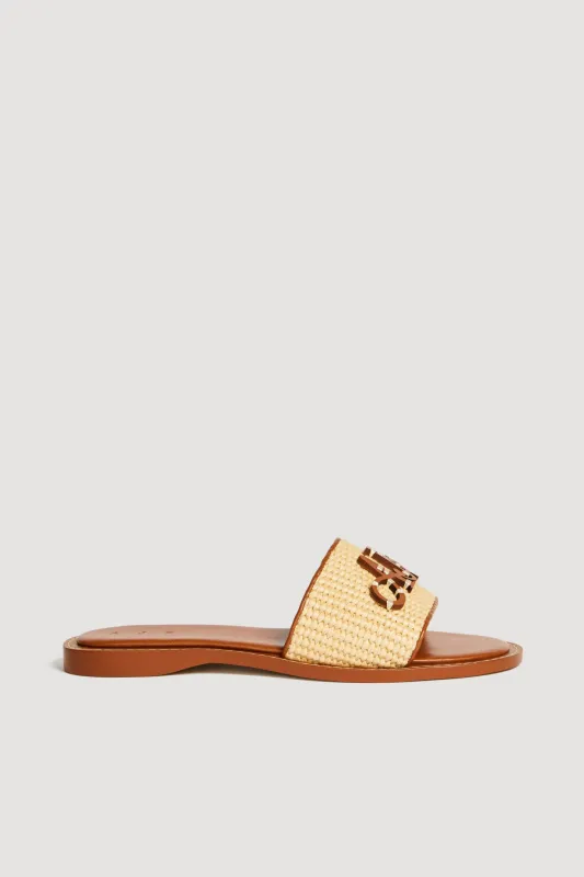 Blaise Logo Slide sold by Aje