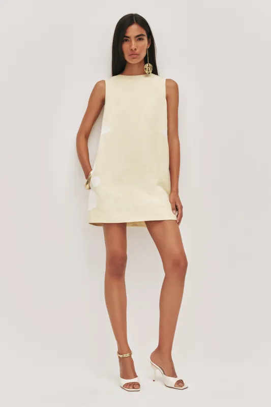 Freddie Mini Dress sold by Aje