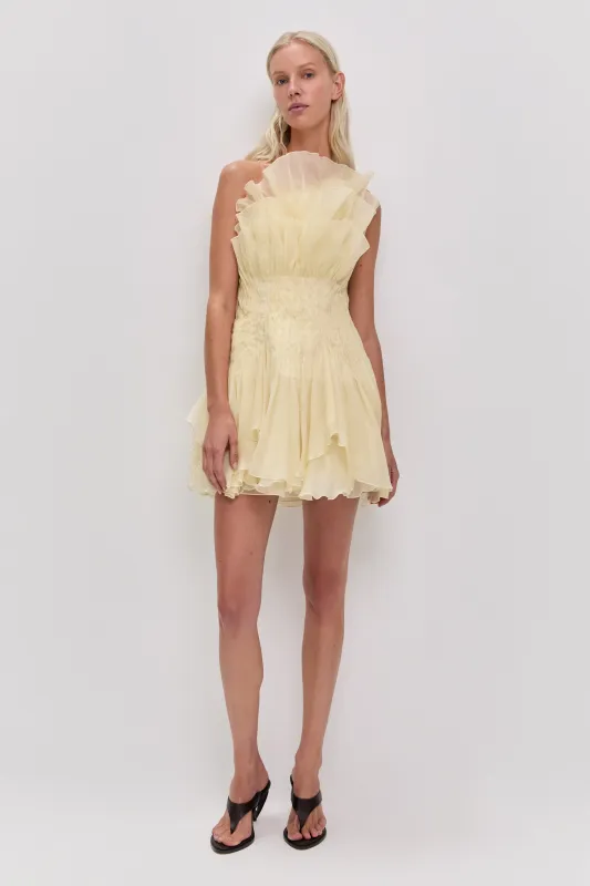 Nisha Mini Dress made by Aje