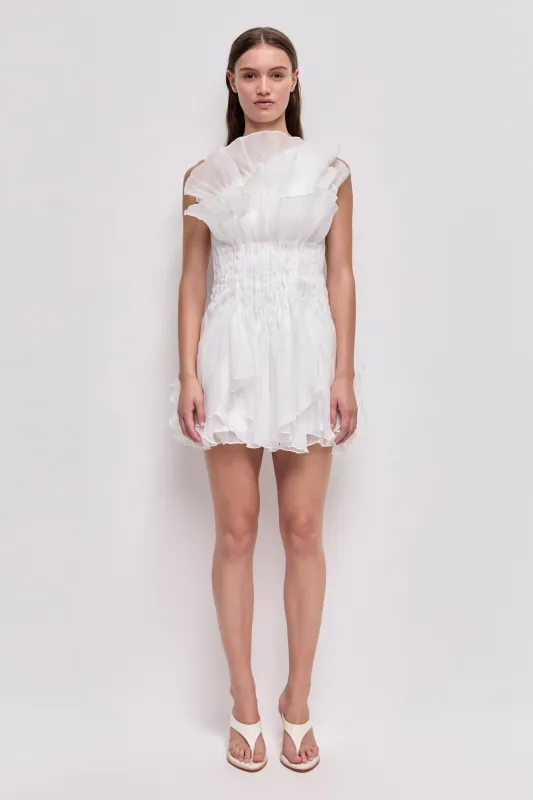 Nisha Mini Dress made by Aje